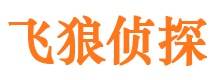 山城市侦探调查公司